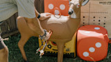 Archer removing three arrows from a foam 3D deer target with orange targets behind; text "MOD PR" visible