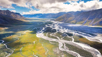 ak coastal plain.png