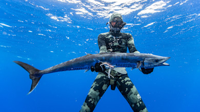 Spearfisher in camouflage wetsuit holding a long speared fish underwater