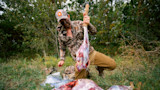 How to Butcher a Venison Hindquarter