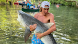 Florida Men Face Charges for Dragging Tiger Shark Upriver