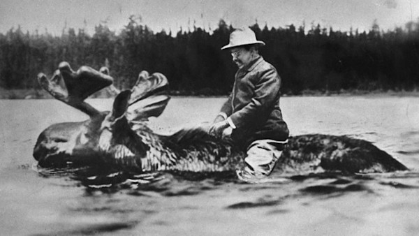 Man in vintage clothing riding a moose through shallow water, black-and-white