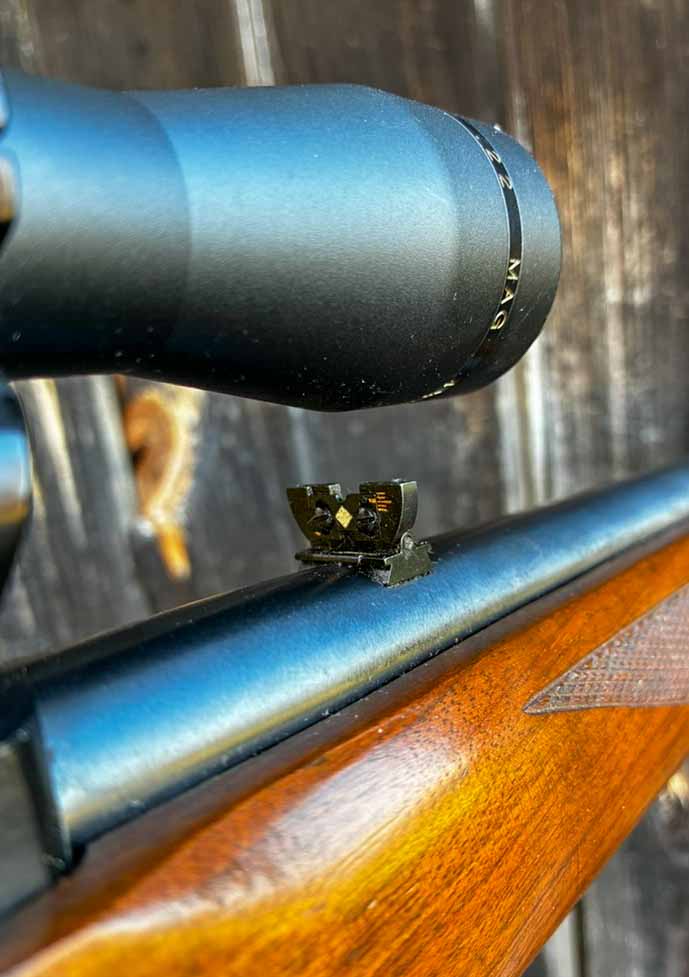 ruger-10-22-2