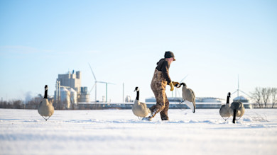 Hunter placing Canada goose decoys on snowy field with wind turbines and factory behind
