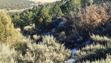 Sagebrush and juniper-covered rolling hills with snow patches and distant trees