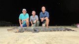 Three men kneel behind a large alligator on sand at night