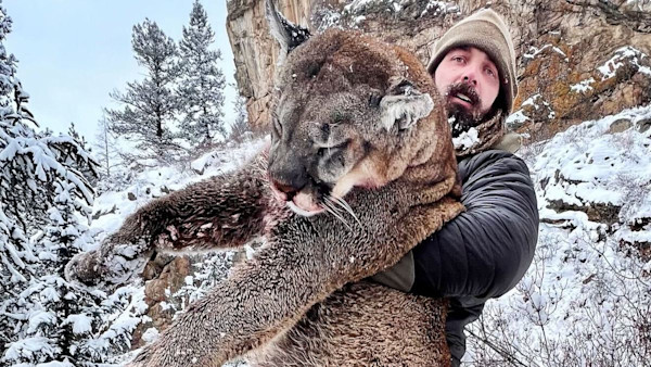 The Truth About Derek Wolfe's Viral Mountain Lion Hunt