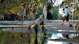 Fisherman casting along a riverbank beneath overhanging branches tangled with trash