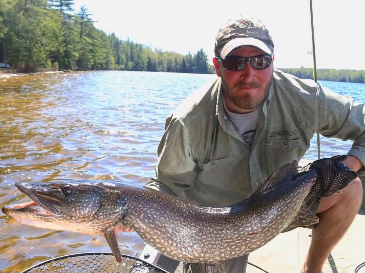 Five Best Pike