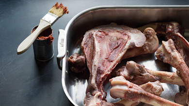 Raw venison bones in stainless roasting pan, basting brush in tin of red paste; All-Clad handle