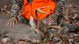 Hunter kneeling in blaze orange vest beside harvested buck with antlers on leaf-covered ground
