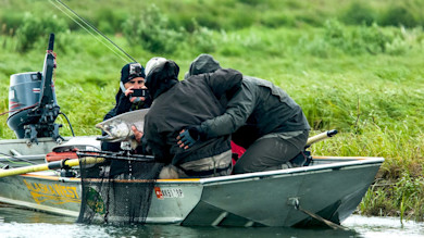 Three anglers in a small aluminum boat holding a large salmon; one films with a phone