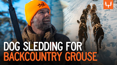 TP 302 MN Dog Sledding & Grouse 1 V3.jpg