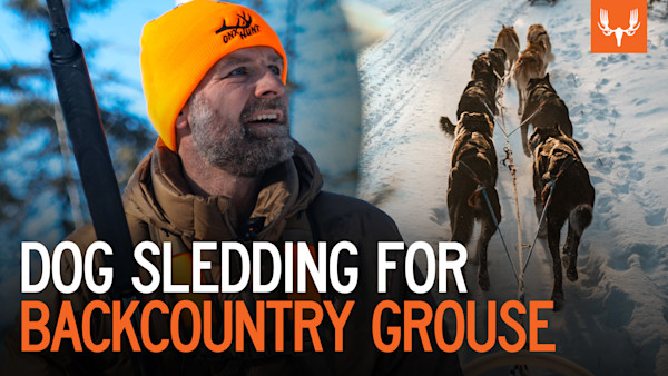 TP 302 MN Dog Sledding & Grouse 1 V3.jpg