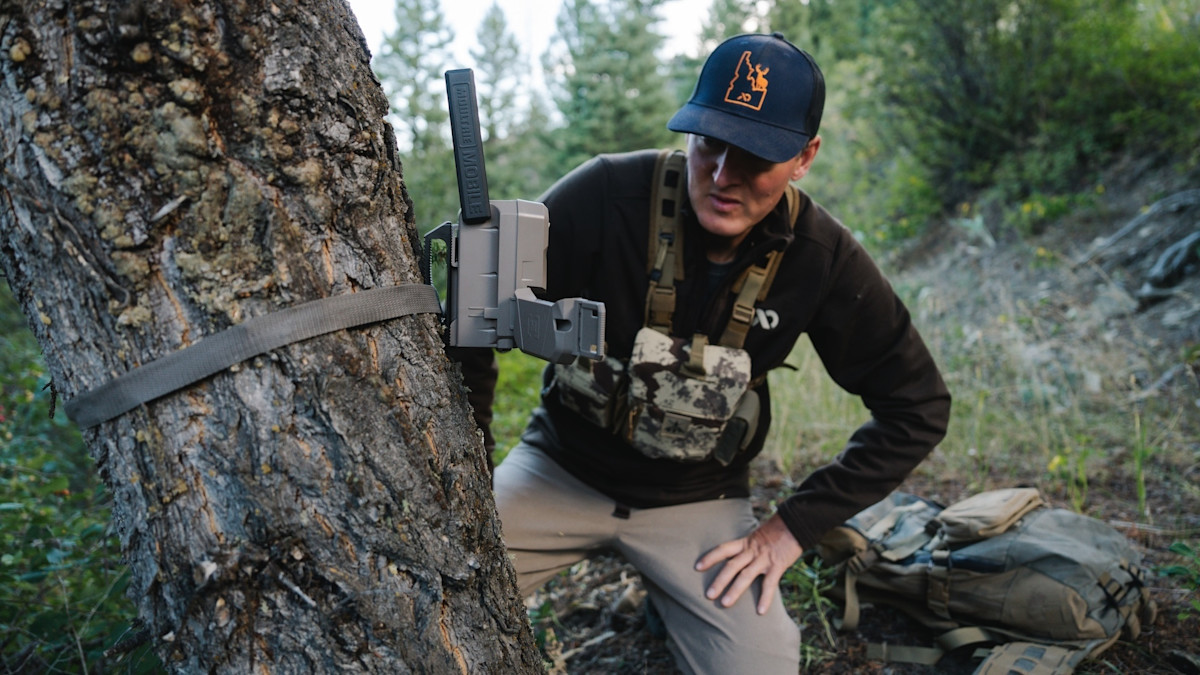 Trail Cam Photo Contest: Funniest Moments Caught on Camera