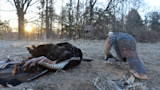 The Turkey Decoys Every Hunter Actually Needs