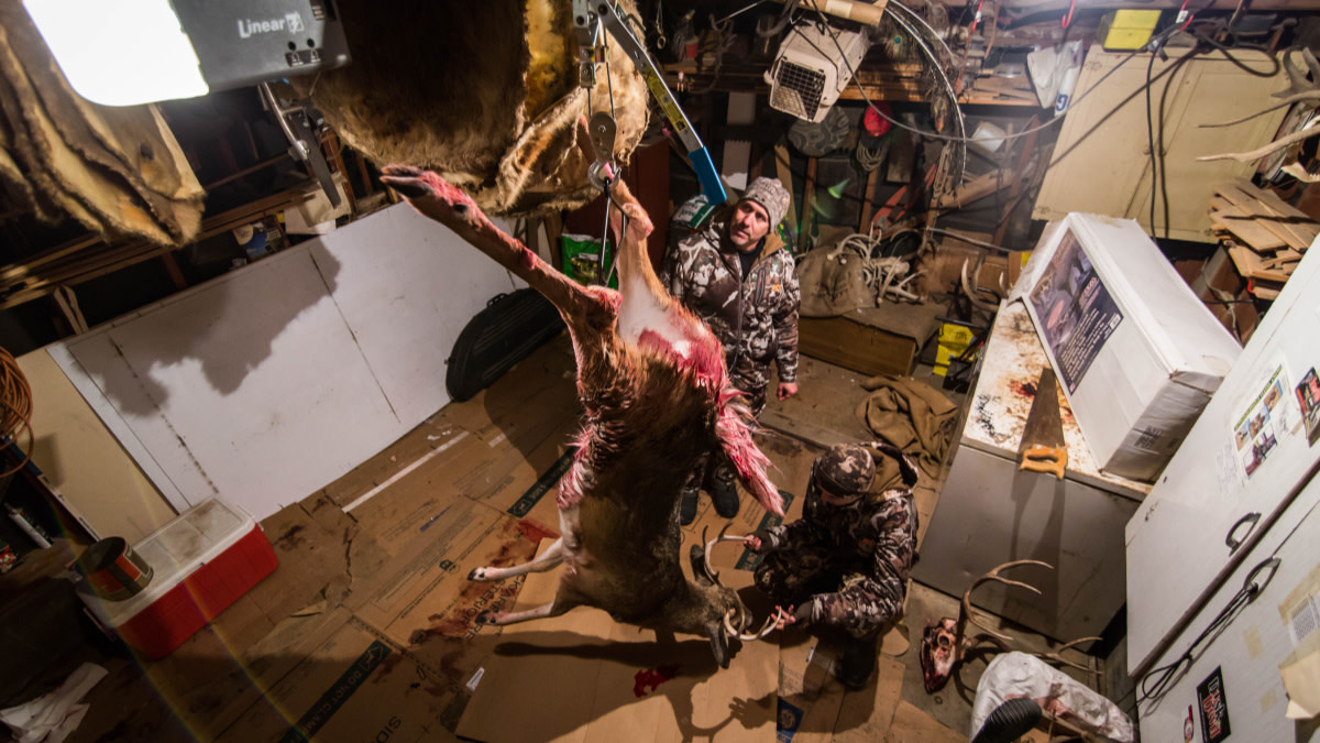 What Hunters Can Do About Chronic Wasting Disease