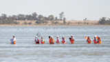Group of people wading in shallow water wearing orange safety vests and white hats, some holding nets and flags