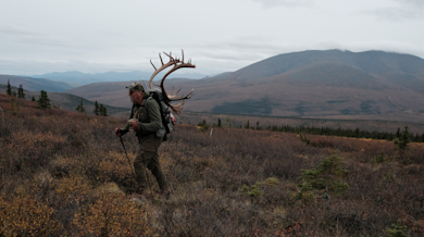 Hunter carrying large antlers on backpack, trekking across tundra toward distant mountains