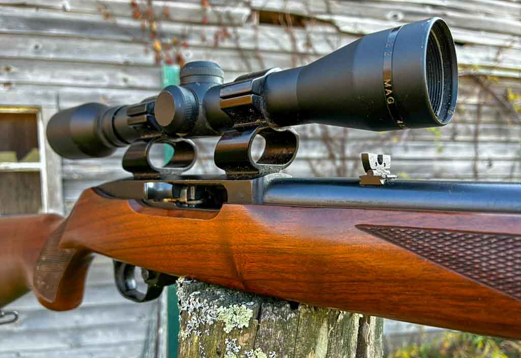 ruger-10-22-7
