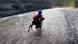 Kayaker carrying a moose calf through a shallow rocky river, wearing blue helmet and red drysuit