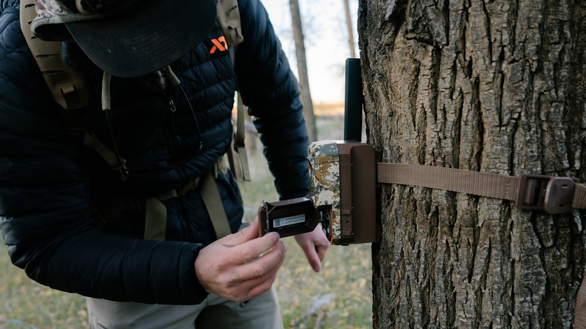 Why You Should Reconsider Your Trail Cam Strategy
