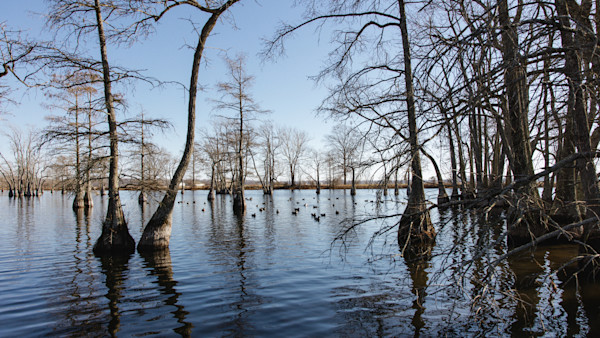 How Will the Government Shutdown Impact Hunting and Fishing?