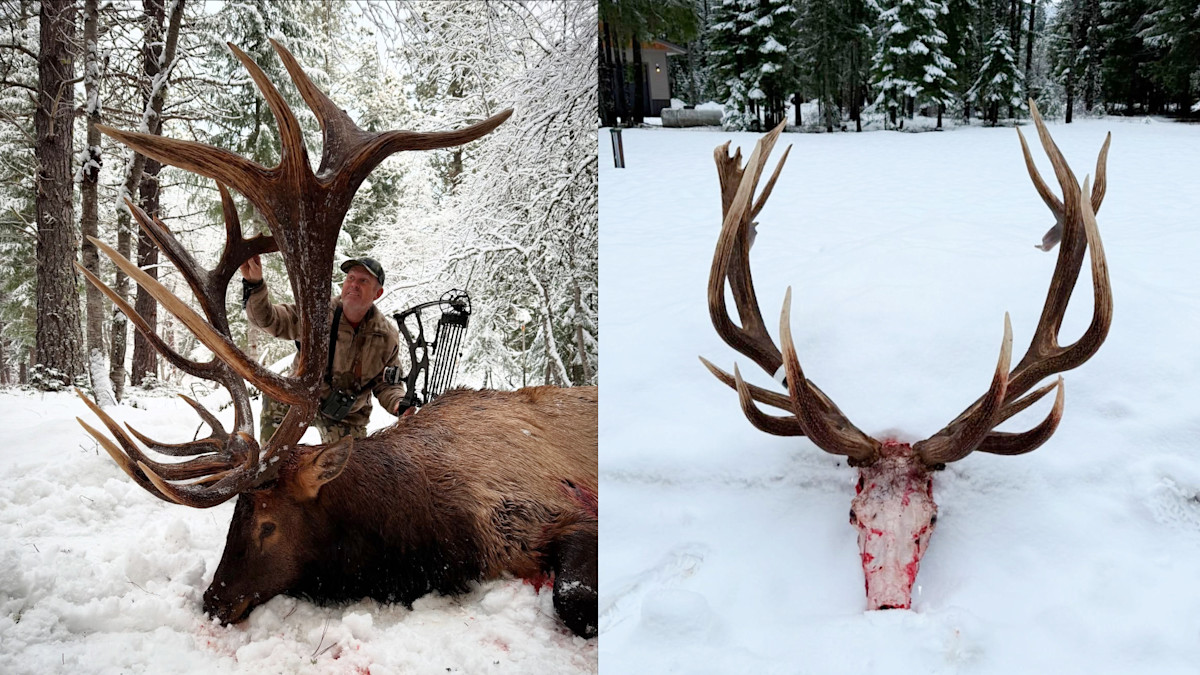 Casey Brooks Bull Confirmed as World Record Non-Typical Elk