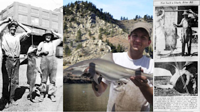 Man holding shark by river, flanked by vintage photos and newspaper caption 'Not Such a Shark, After All'