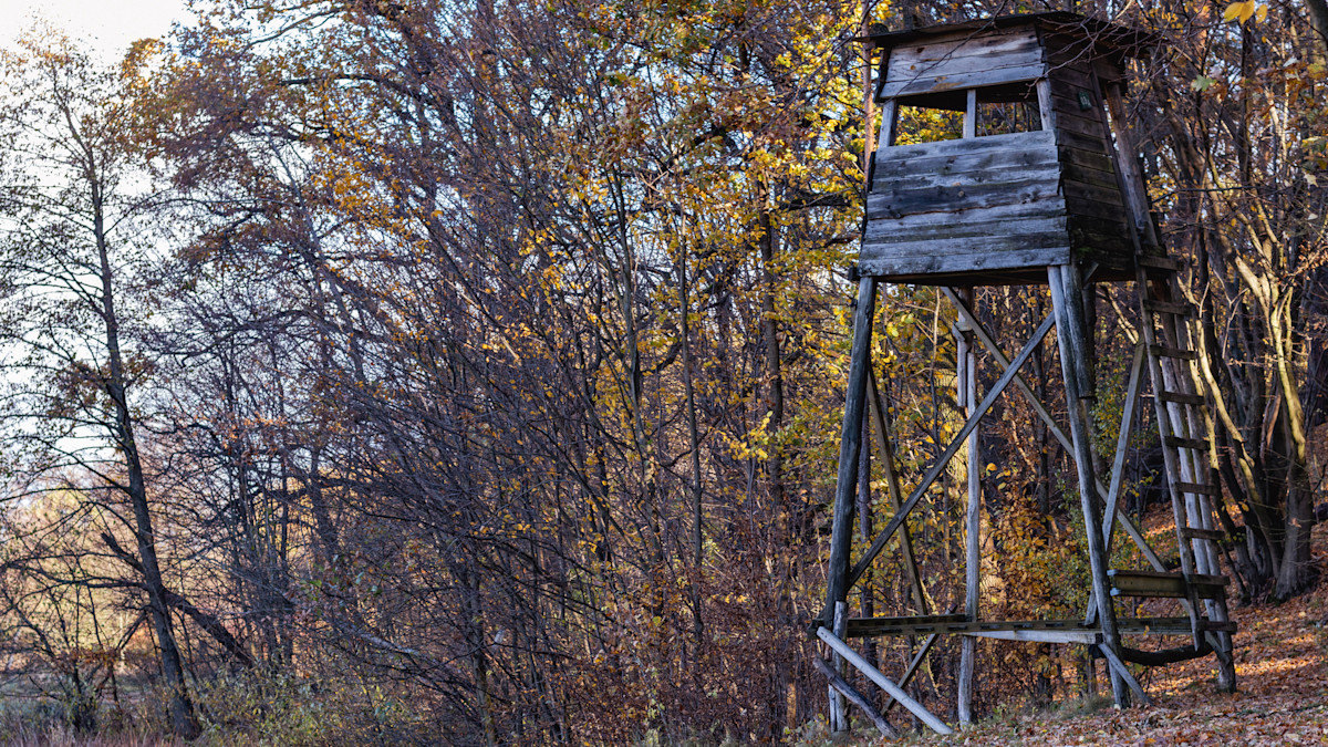 Second Hunter This Month Burns to Death in Propane Heater Accident