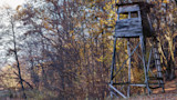 Elevated wooden hunting stand with ladder beside leafless trees in autumn woods