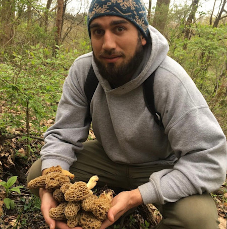 Man crouching in woods holding large cluster of morel mushrooms