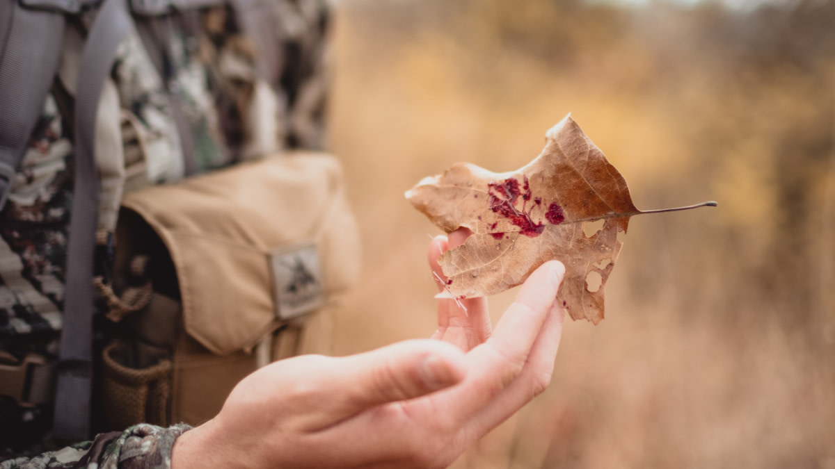 3 Common Reasons Broadheads Fail