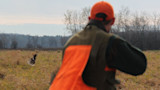 Ten Tips for Upland Birds