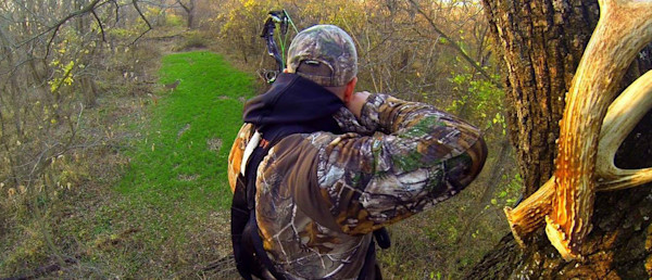 Whitetail Habitat Management on a Budget with Small Property Focal Points