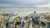 Beach strewn with plastic bags and trash, waves breaking and cargo ships on horizon