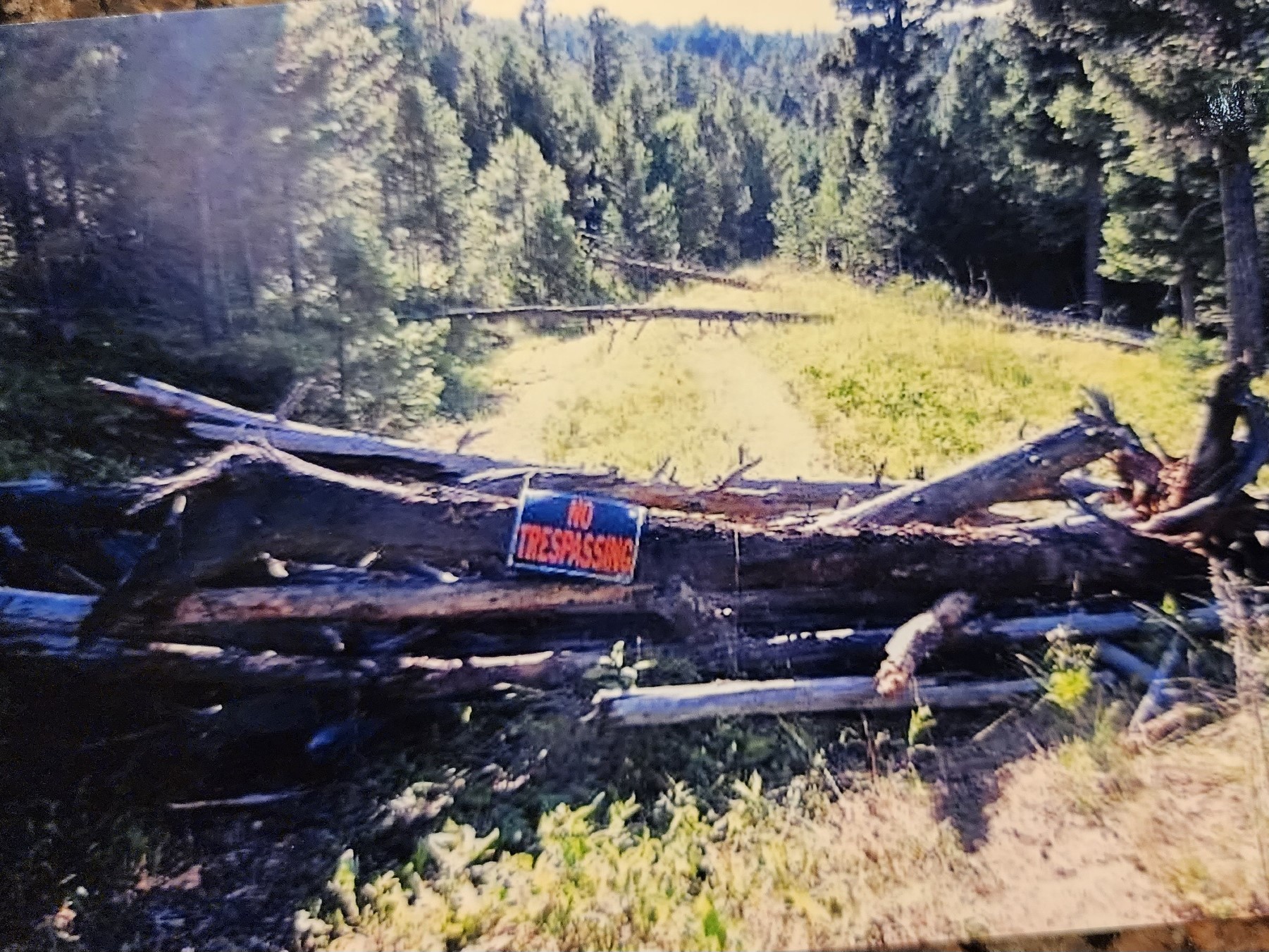 Fallen logs blocking a forest trail with 'NO TRESPASSING' sign