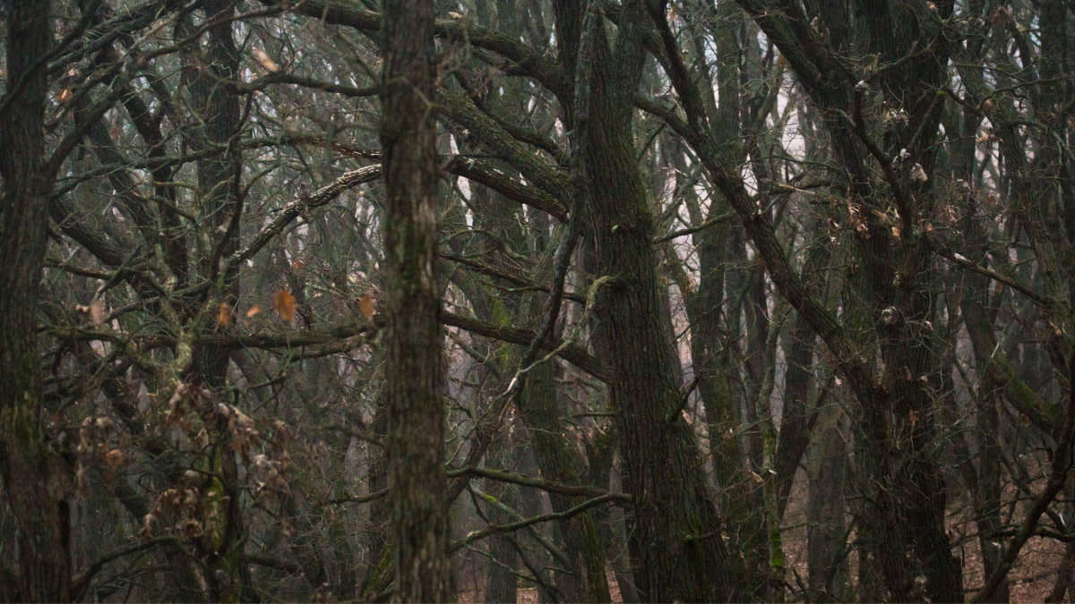 When Hunters Find Dead People