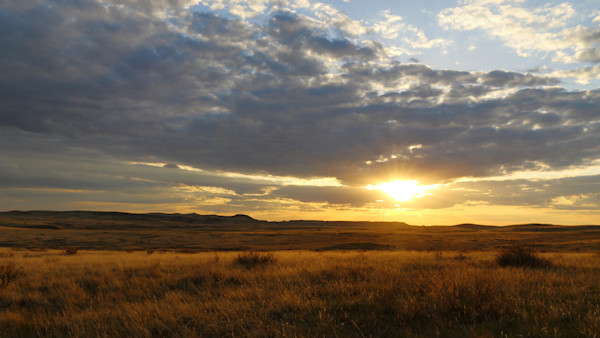 Nebraska Teacher Killed in Tragic Deer Hunting Accident