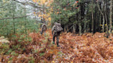 Ground Game: How to Kill Deer Without a Treestand