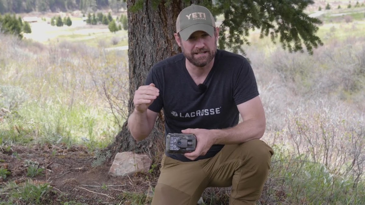 S1-E31: Three Trailcam Settings You NEED to Master