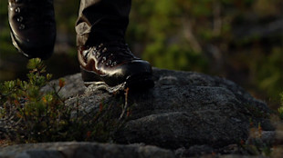 Leather hunting boots stepping on wet rock amid low shrubs