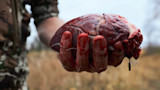 Bloodied animal heart cupped in a hunter's bloody hand with camo sleeve