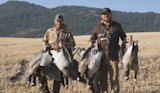 Two hunters in a harvested field holding multiple geese with forested hills behind