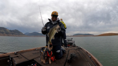 Video: How to Texas Rig for Bass like a Pro