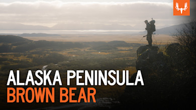 ME_12in26_YT_ALASKA_BROWN_BEAR_2_V1.jpg