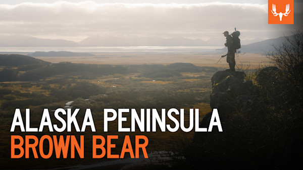 ME_12in26_YT_ALASKA_BROWN_BEAR_2_V1.jpg
