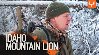 Hunter in green beanie and camo pack in snowy woods, overlay text "IDAHO MOUNTAIN LION"