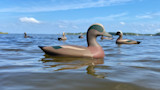 Why I Hunt Ducks Over Wooden Decoys
