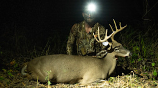 Hunter kneeling behind harvested buck at night, headlamp glare, white surgical mask hanging from antler